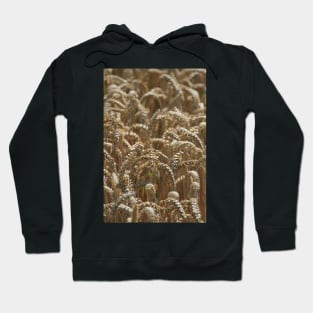 Wheat (portrait) Hoodie